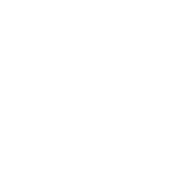 NoFlag